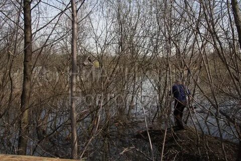 Балахнинский портал происшествия