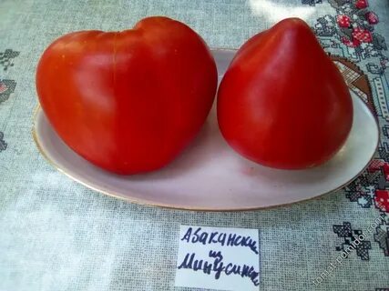 Томат минусинский биколор