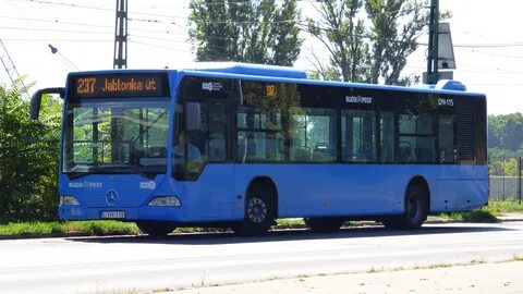 Автобус 237