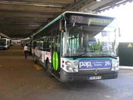 286 автобус спб
