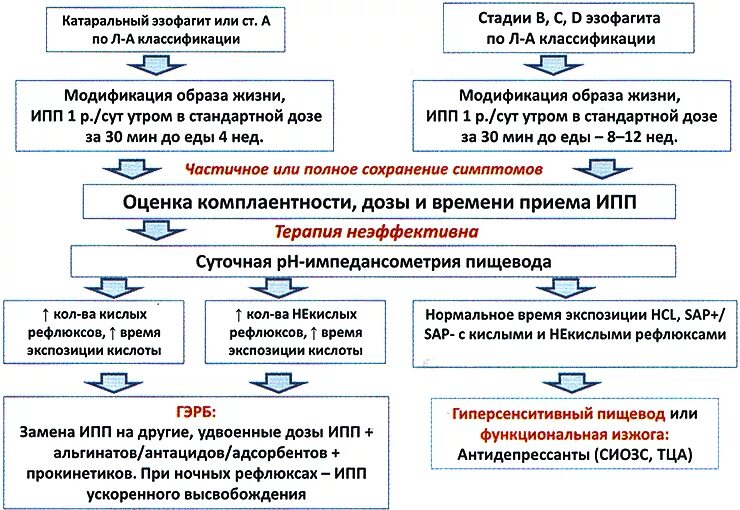 Схема лечения гастроэзофагеальной рефлюксной болезни. Алгоритмы ведения пациентов с ГЭРБ. Классификация лекарств ИПП. ИПП схема приема.