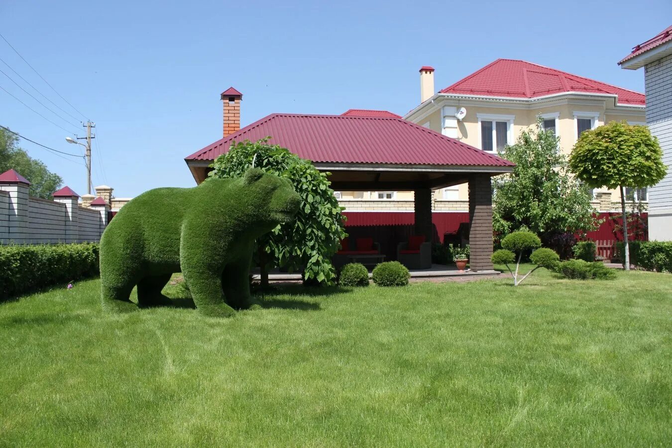 Топиарные фигуры бачо. Липецк топиари бачо. Топиари бутса с мячом. Бачо полижи. Топиари бачо.