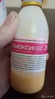 Адицеф инструкция