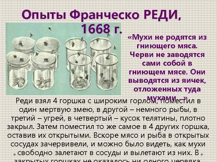 Муха огэ. Опыты Франческо реди, 1668 г.. Франческо реди опыт с мясом. Франческо реди опыт с мухами. Эксперимент Франческо реди.