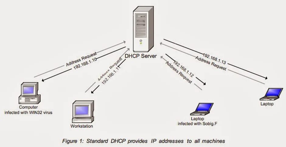 Параметры компьютер сервер. Dhcp сервер. протокол динамической конфигурации узла dhcp. dhcp протокол какого уровня. ald pro dhcp сервер.