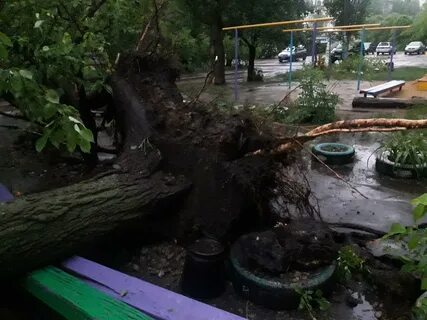 Стихия сегодня
