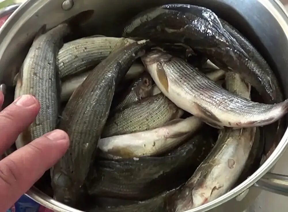 Хариус вяленый. Хариус мясо. Хариус соленый. Хариус соленый. Сугудай из хариуса.
