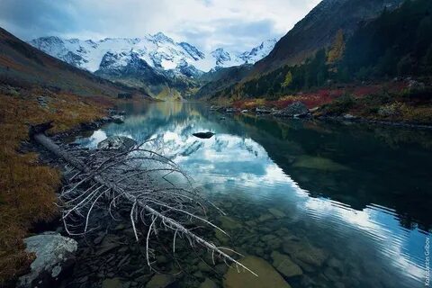 Altai region, Siberia, Russia Landscape Photography, Travel Photography, Al...