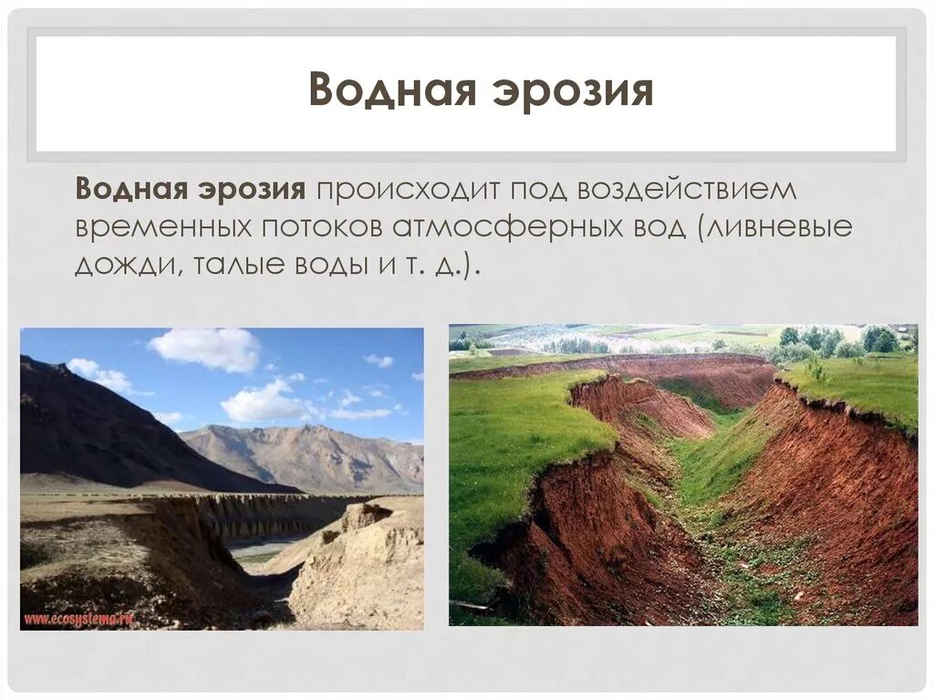 Ирригационная эрозия почвы. Основные факторы возникновения водной эрозии. Эрозия ветровая и водная. Струйчатая водная эрозия. Защита почв от водной эрозии.