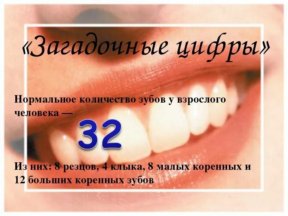 Зубы у взрослых. Третий зуб снизу как называется. Нумерация зубов в стоматологии схема у подростков. Зубы у взрослых. Зубы у взрослых.