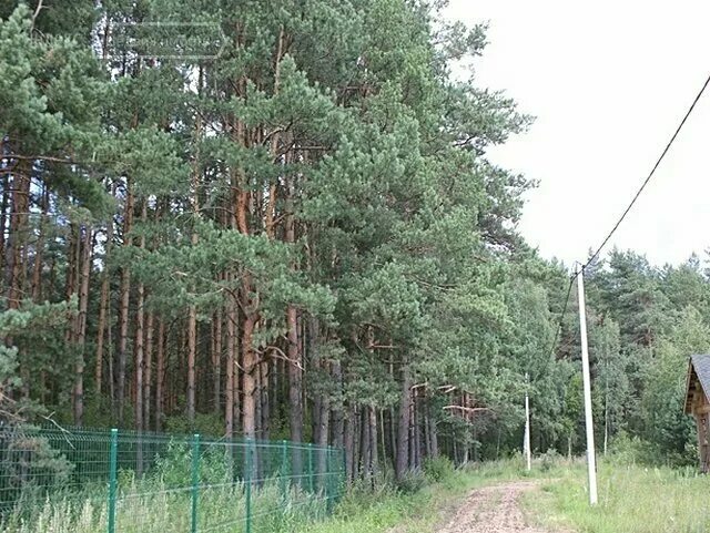 Поселок дубровский московско. Дубровский лес коттеджный поселок. дубровский лес сергиево-посадский район. поселок дубровский московская область. дачный поселок дубровский лес.