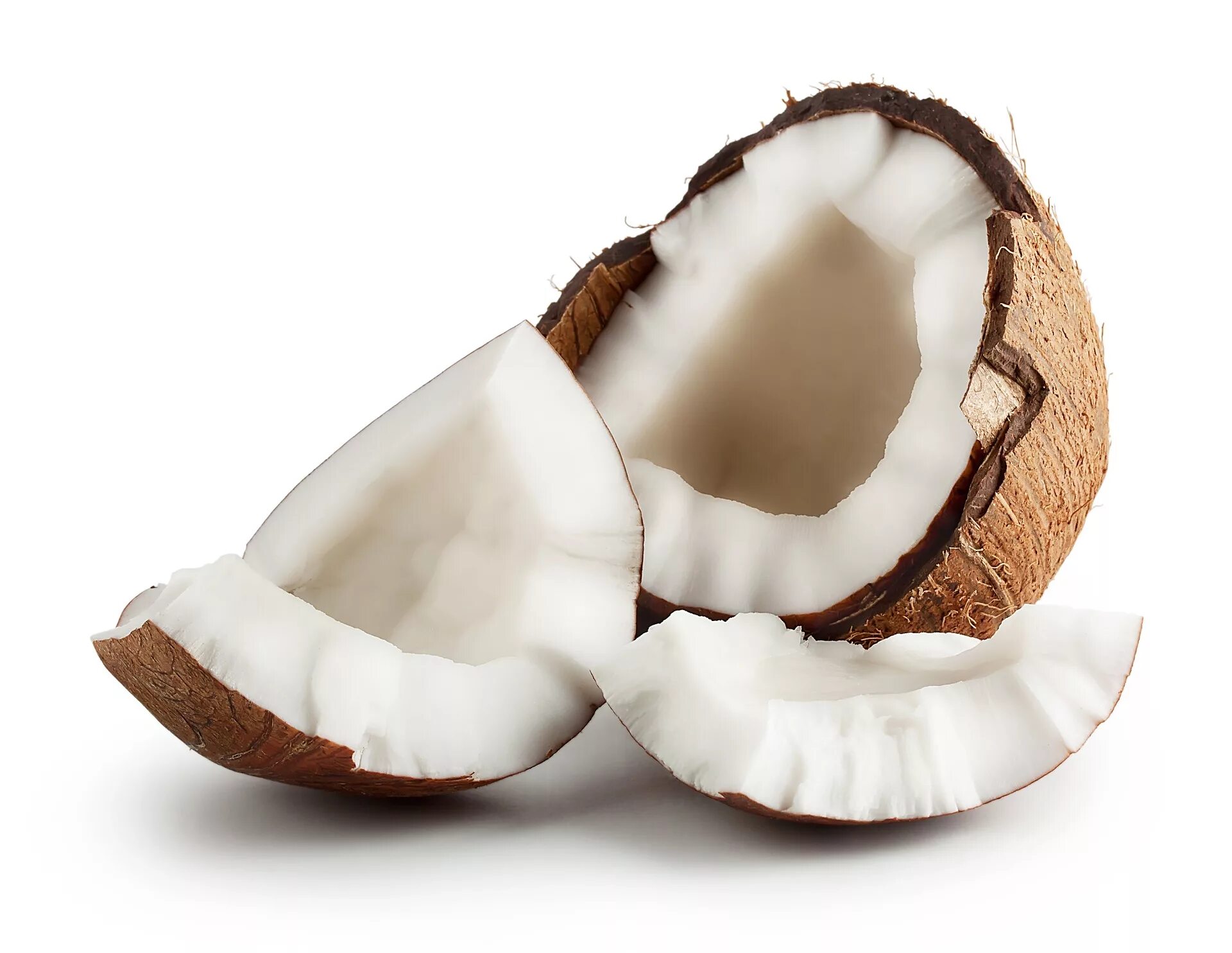 The coconut