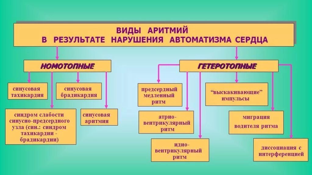 Нарушение ритма сердца виды. Формы нарушения ритма сердца. виды аритмий. классификация аритмий сердца. типы нарушения ритма сердца.