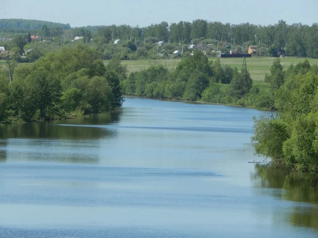Егнышевка пруд. Деревня рыбалки тульская область. Пруды в заокском районе тульской области. Пруды в заокском районе тульской области. Платная рыбалка матвеевка тульская.