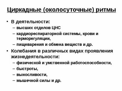 Ритм деятельности