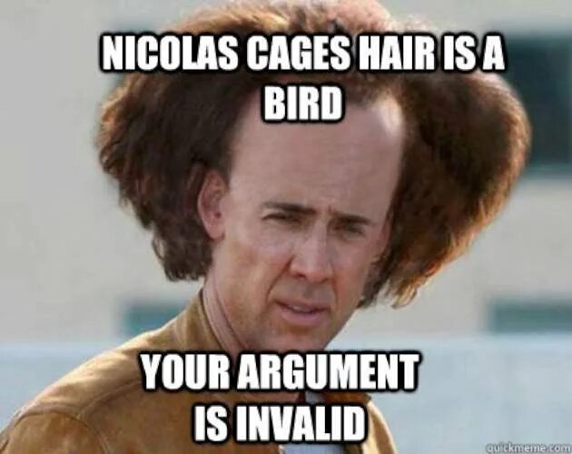 Николас Кейдж мемы. My hair is a Bird your argument is Invalid. Николас Кейдж с длинными волосами Мем. Invalid your argument is Invalid. You like my hair