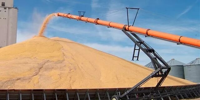 Зерновой транспортер. Ленточный конвейер b500x20m. Транспортер зерна тшв-400. Загрузчик зерна шнековый. Ленточный желобковый транспортер.