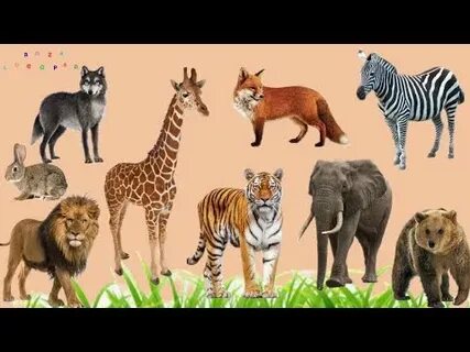 Жетілген әйелдер порно әдемі секс