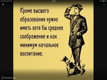 Почему высшее образование не нужно
