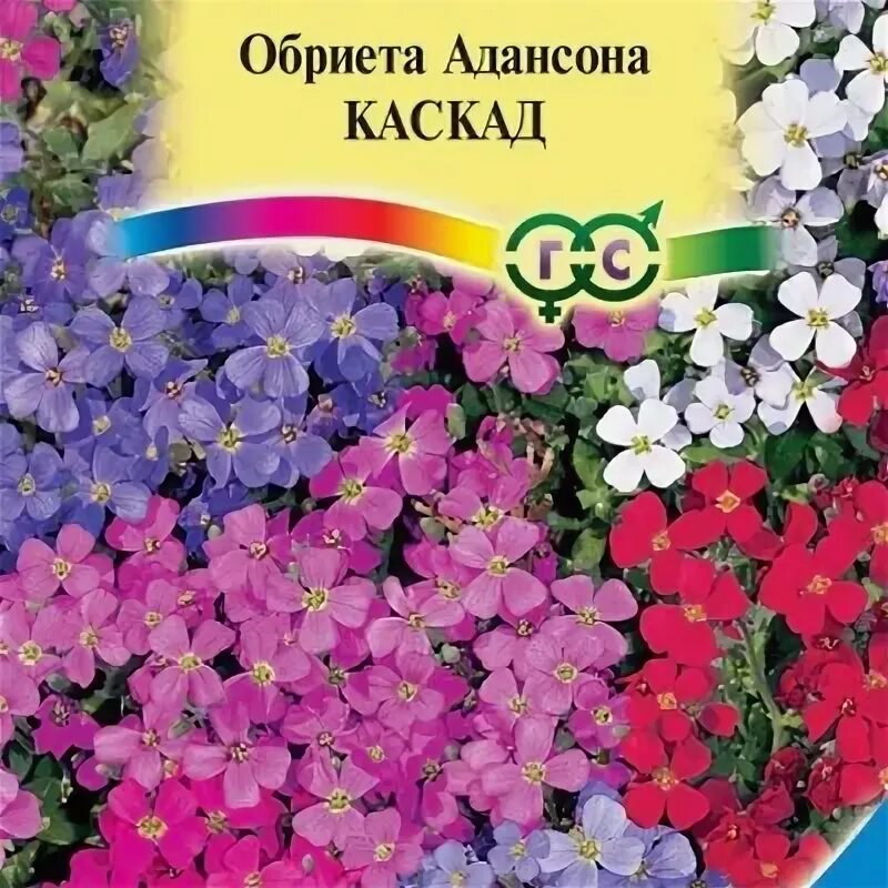 Garden Blogger’s Bloom Day April 2019