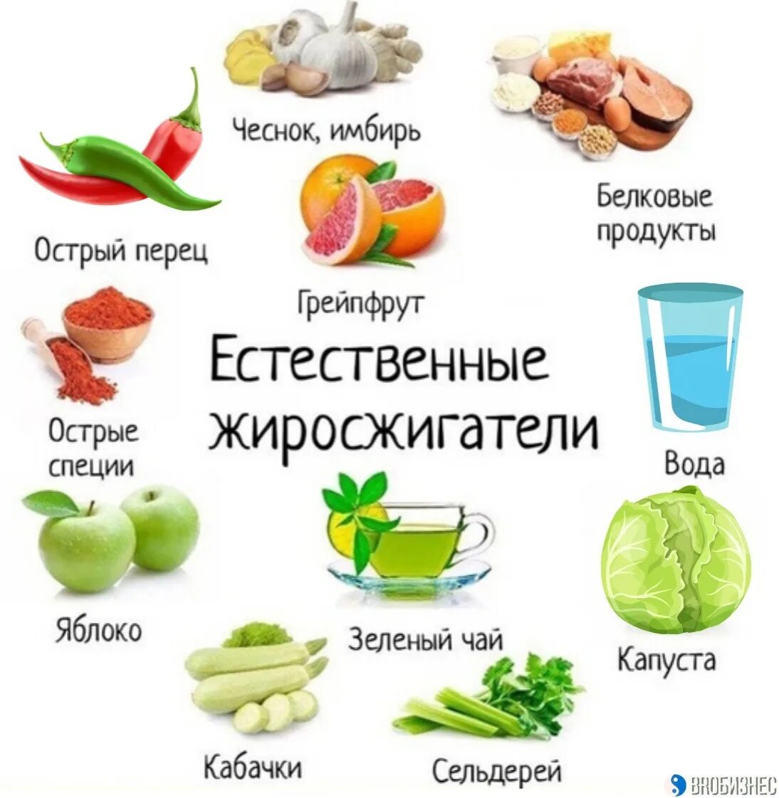 Чем можно утолить голод. Продукты жиросжигатели. Продукты жиросжигатели для похудения женщин. Жиро жигающие продукты. Жиросжигатели натуральные продукты.