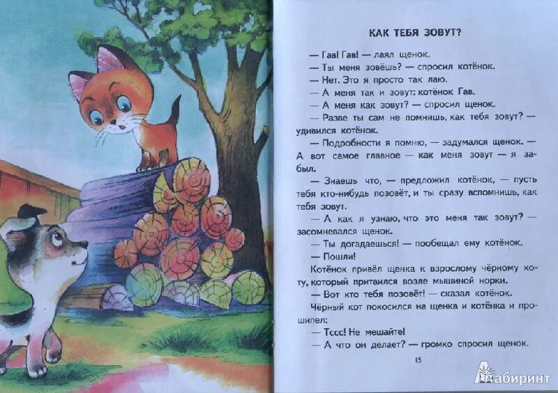 Котенок по имени гав пес. Талкинг авс. Котенок гав 1977. Группа gava daize. Котенок по имени гав луна.