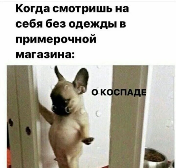 Мемы на ночь смешные. Когда давно. Собака перед зеркалом мем. Видишь, всем пофиг. Хатико смешной.