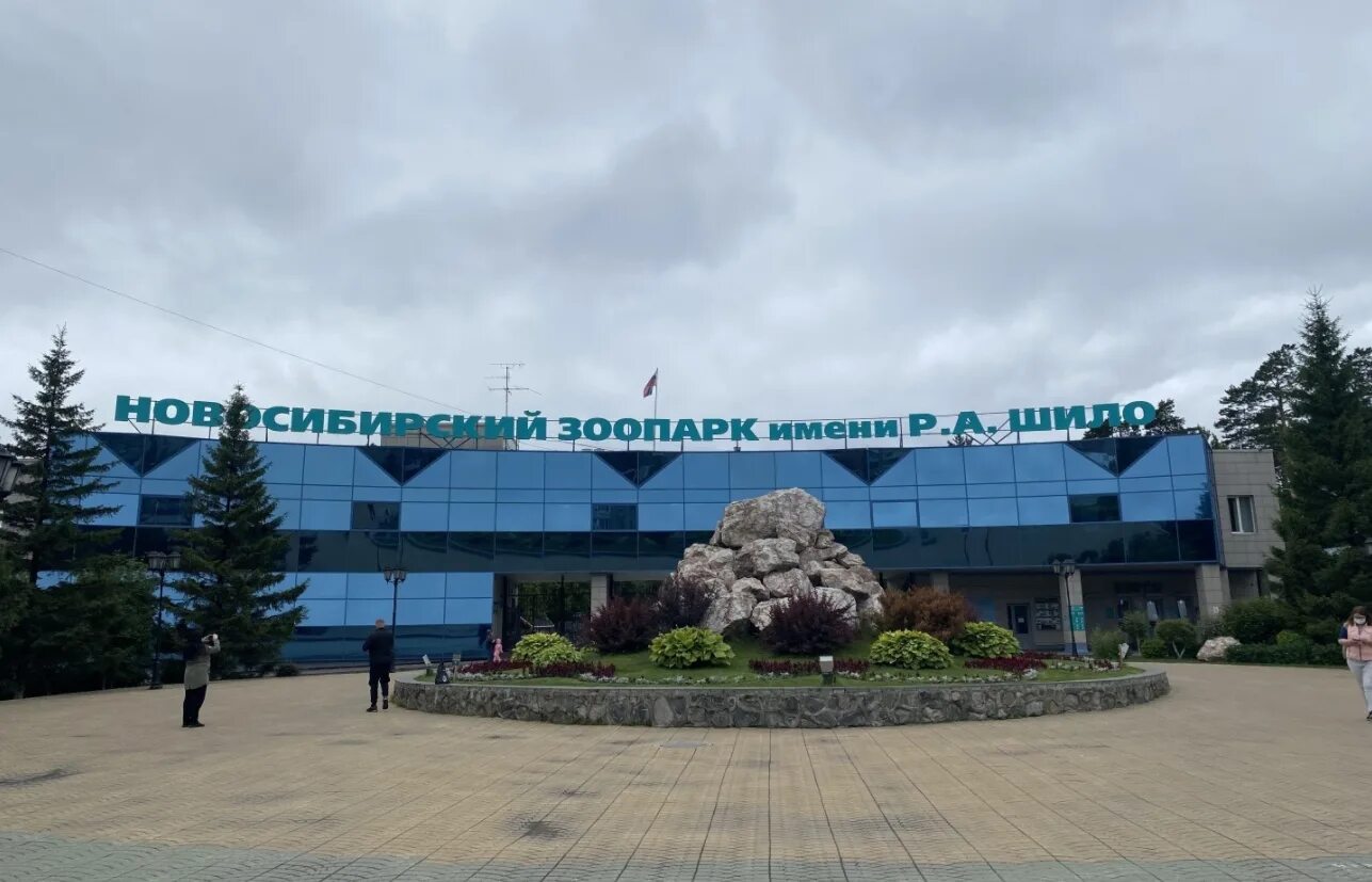 Новосибирск, улица тимирязева, 71/1. Зоопарк новосибирск 2021. Зоопарк тимирязева, 71/1 новосибирск. Зоопарк р а шило новосибирский. Зоопарк новосибирск r.