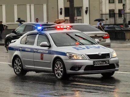 Дпс 12
