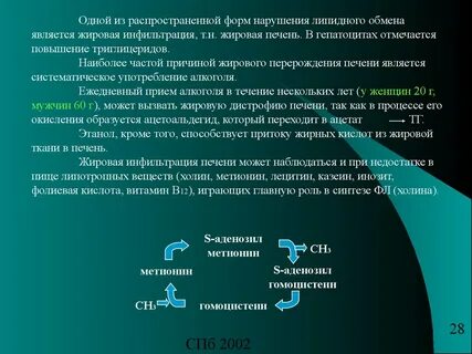 Ежедневный прием