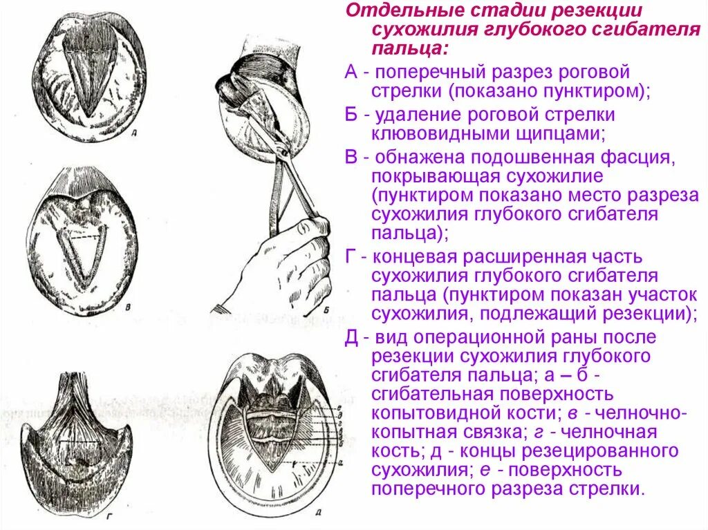 Для фазы быстрого сна характерно. Управленческие принципы примеры. Отдельная стадия. Преимущества и недостатки каскадной модели жизненного цикла. Каскадная модель достоинства и недостатки.