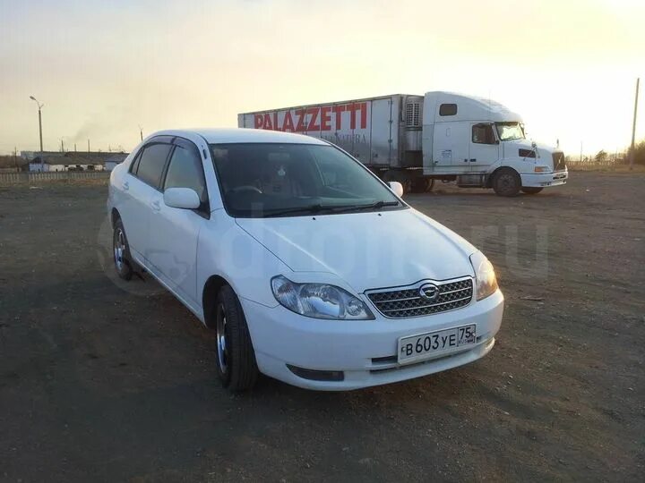 Купить королла 2001. Toyota Corolla 2001 1.5 nz. Тойота Королла универсал 2000 правый руль. Тойота Королла 2001 правый руль. Королла универсал 2001г.