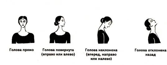 Головы влево вправо. Голова повернута влево. наклон головы психология. голова наклонена вниз и влево. положение головы.