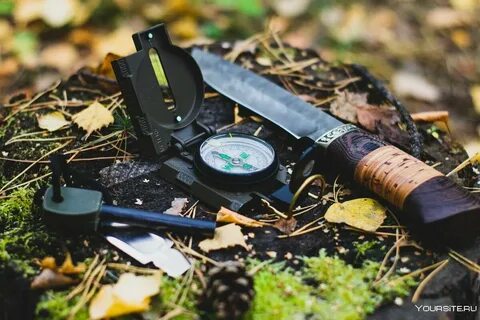 Survive wild