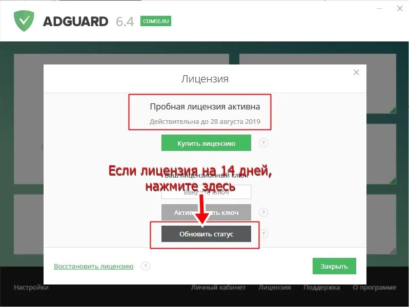 Adguard vpn ключ. Адгуард. Лицензия адгуард. Лицензионный ключ Adguard. Adguard активация ключа.