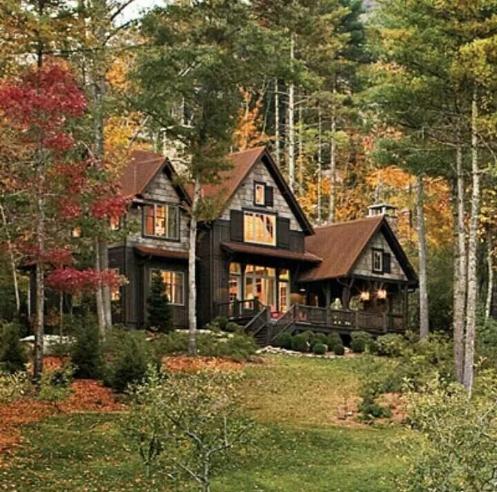 Деревянный дом в лесу. Загородные дома в лесу. Красивый коттедж в лесу. Лес живой дом