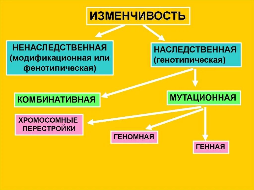 Типы наследственных изменений