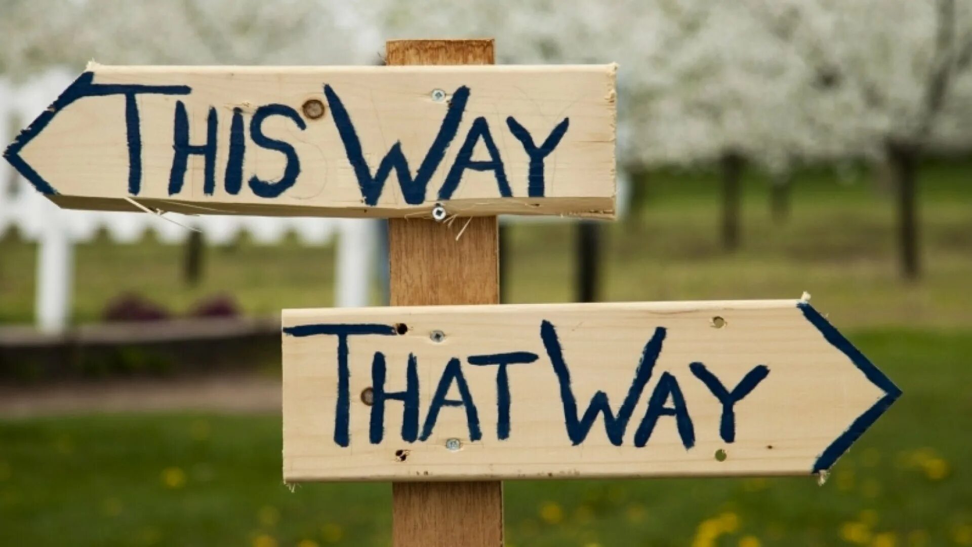 Make your choice make your life. Выбор картинка. Варианты картинка. This way надпись. Два варианта картинки.