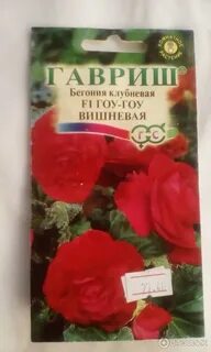 Семена бегонии