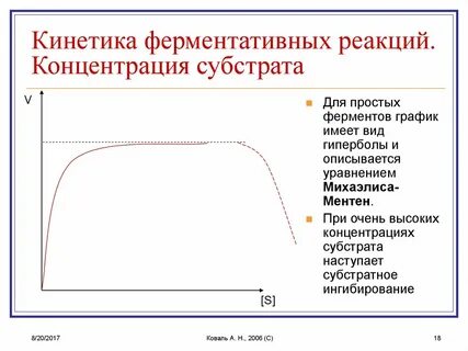 Зависимость активности ферментов от концентрации субстрата