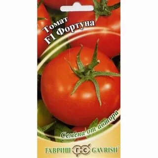 Характеристика фортуна