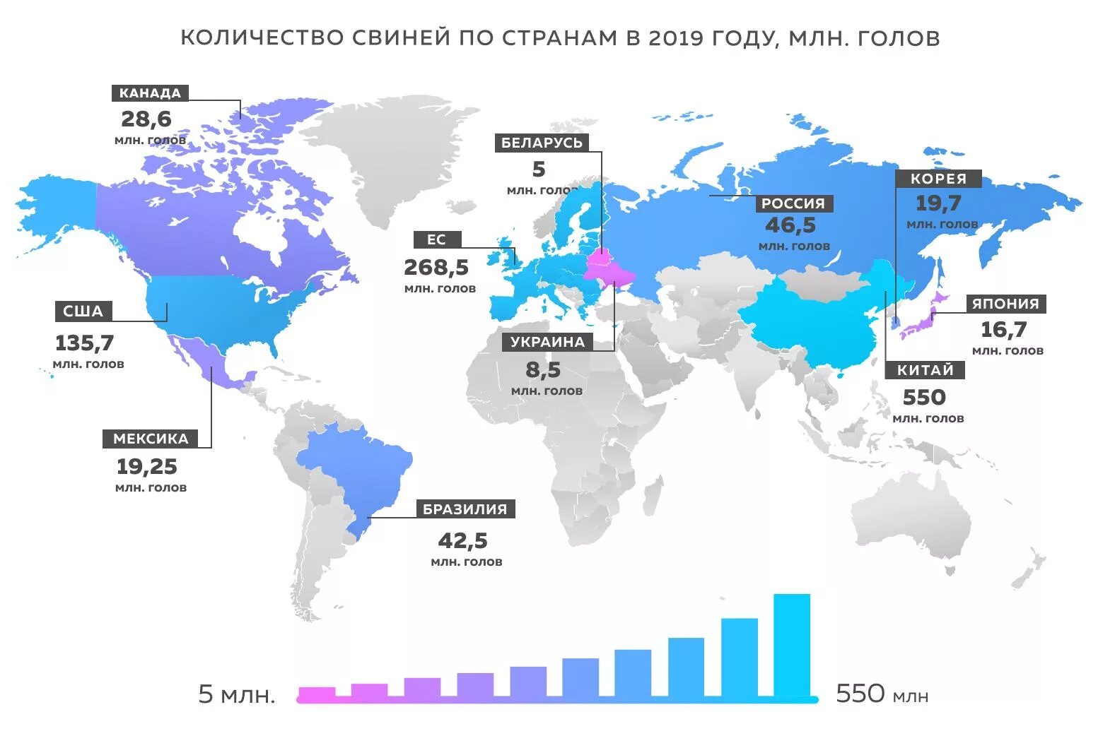 Овцеводство страны. Страны лидеры по поголовью овец. Страны с наибольшим поголовьем овец. Распространение овец. Страны лидеры по производству овец.