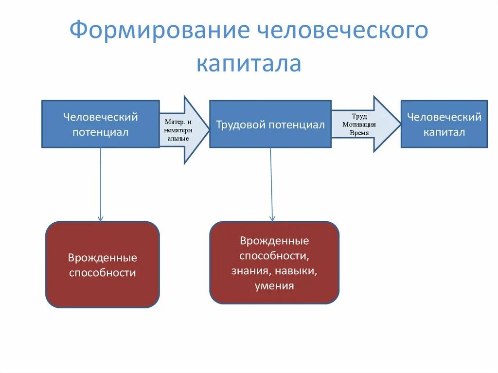 Схема формирования человеческого капитала. Стадии формирования человеческого капитала. Факторы формирования человеческого капитала. Факторы влияющие на формирование человеческого капитала.