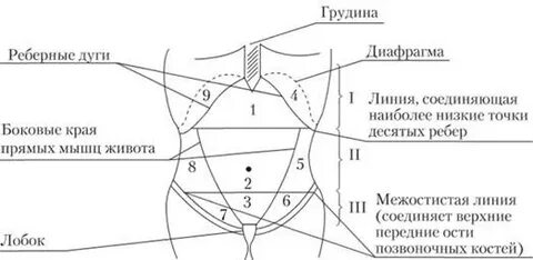 Печень пальпируется по краю реберной дуги