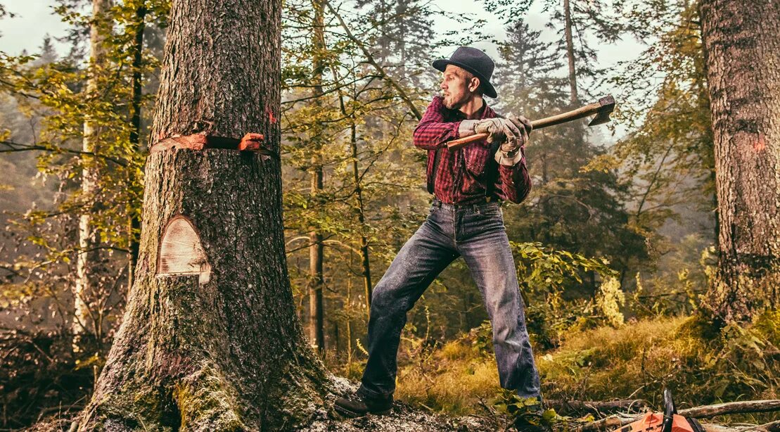 Человек рубит дерево. Дровосек в лесу. Лесорубы в лесу. Cut them down