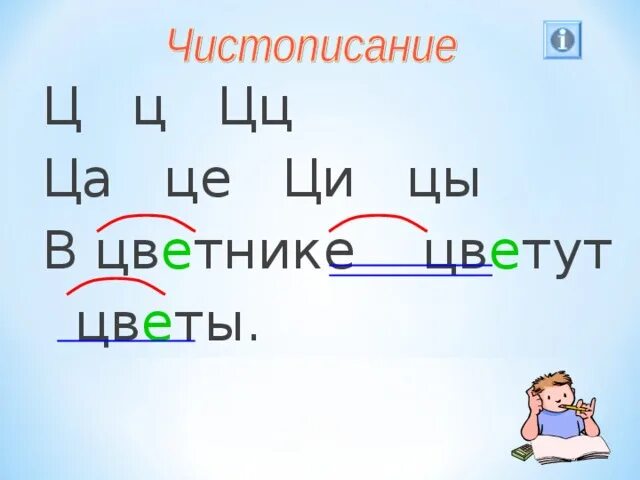 Речевая разминка с буквой ц. Цы ца. Цы ца. Речевая разминка буква о звук. Ци и цы в русском языке правило.