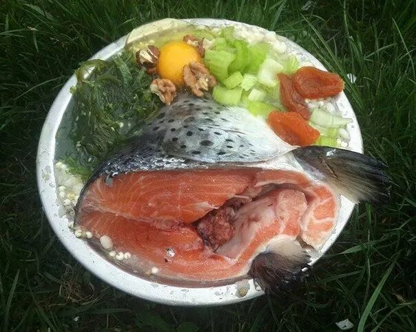 Рыба для собак какая. Барф рыба. натуралка для собак рыба. натуралки для собак с рыбой. натуральное питание для собак.