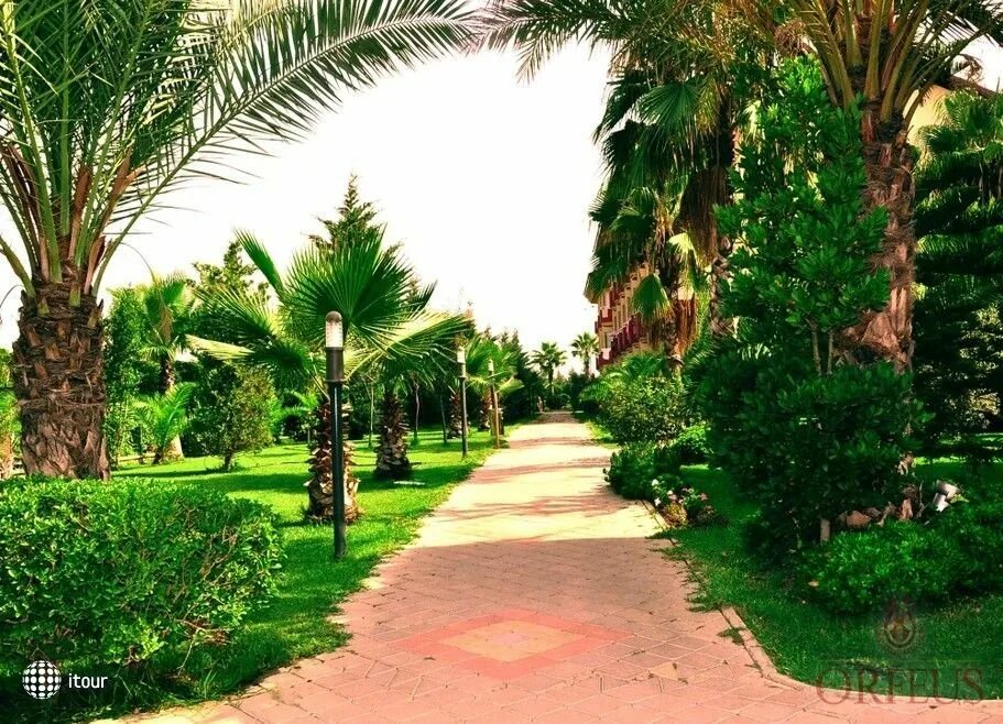 Парки сиде. Орфеус парк турция. orfeus park hotel 4 турция. orfeus park hotel пляж. парк в сиде.