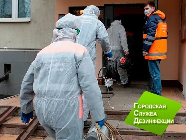 Служба дезинфекции. Городская служба дезинфекции. городская служба дезинфекции москва. служба дезинфекции в москве. московская городская служба дезинфекции москва.