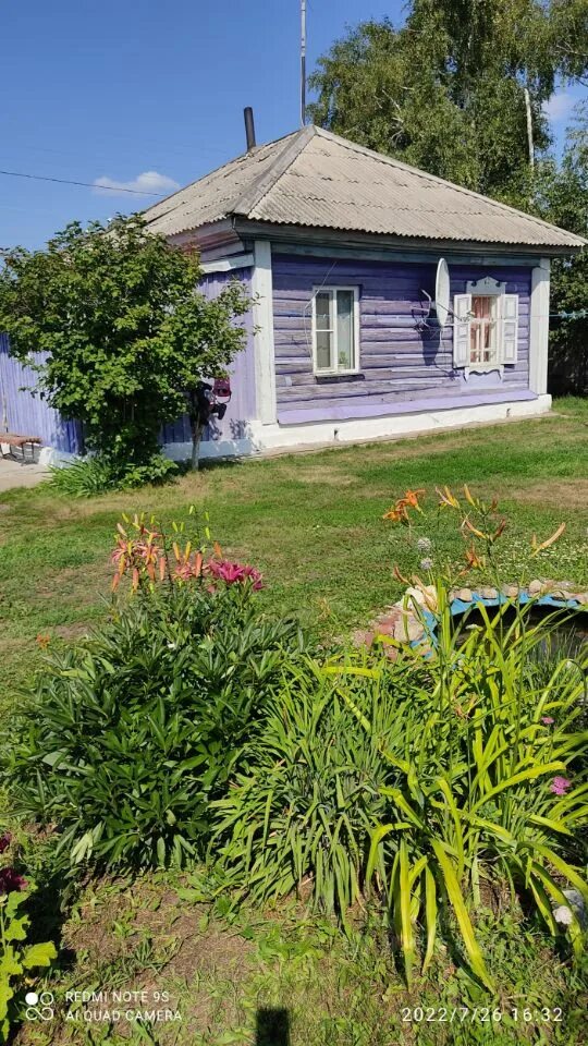 Букреево плесо. Букреево плесо кочковский. букреево плесо кочковский район новосибирская область. букреево орловская область кромской район. деревня букреево плессо.